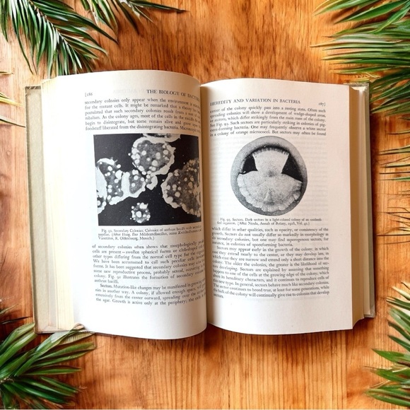 VINTAGE 1945 “The Biology of Bacteria” by Arthur T. Henrici - Hardcover - Picture 12 of 12
